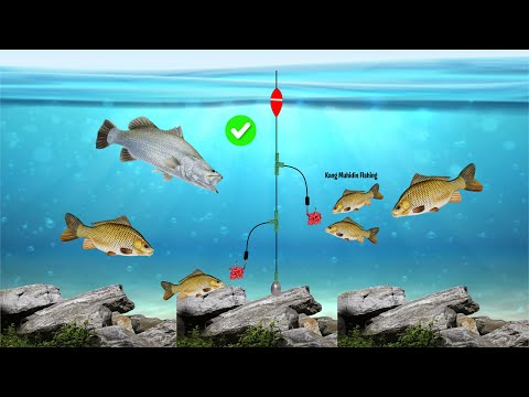 Best Fishing Knot DIY Fishing Tackle Secrets The Pros Don't Want You To Know