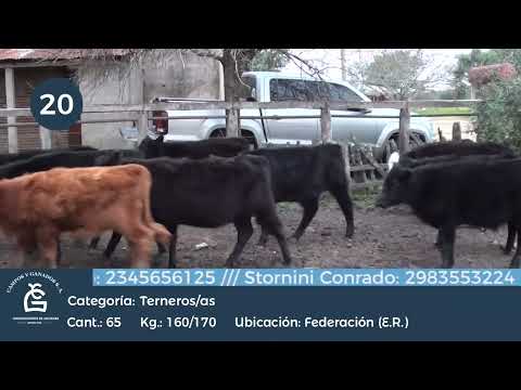 Lote M Y H - Federación ER