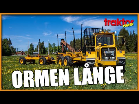 TOPPFRÄSCH TIMMERDUMPER – Ormen Långe har ömsat skinn