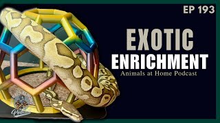 Why don’t Pet Stores Sell “Toys” for Reptiles? | Exotic Enrichment