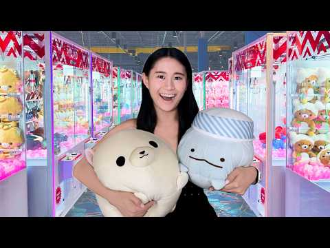 $100 Japanese CRANE GAME CHALLENGE!