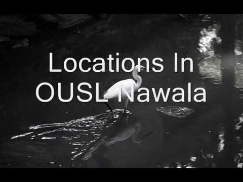 Mal wahi se wahi watunawe ... Asanka Priyamantha & Hemanthi Ranasinghe