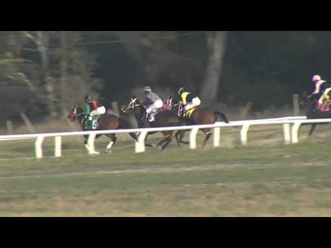 31/07/2020 – Hipodromo Florida – Carr 1 – CUARTO DE MILLA – CLASIFICATORIA POTRO DEL FU...