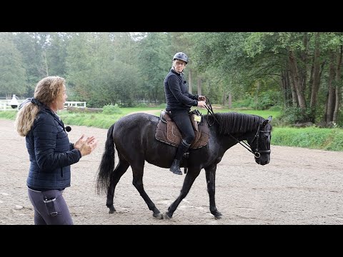 Warum kann dieses Pferd nicht richtig angaloppieren? Wallach Jasper beim Pferdecheck