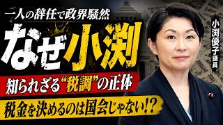 なぜ小渕優子が今話題になるのか？【自民党税制調査会】
