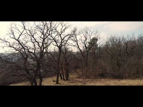 Napoleonstein Wanderung. Die Runde von Dresden - Weißig.