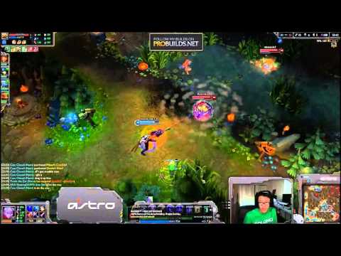 Best Of Wildturtle HD