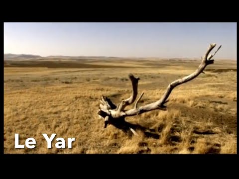 Ergîn Xelîkan - Lê Yar [Official Music Video]