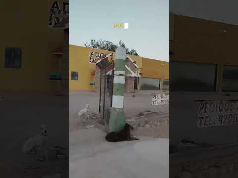 Regresando a casa bajo las luminarias en Aimogasta en la Rioja, Argentina
