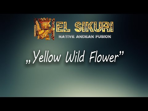 El Sikuri | Yellow Wild Flower