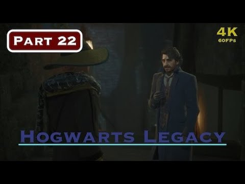 Part 22 - Hogwarts Legacy A Friend in Deed