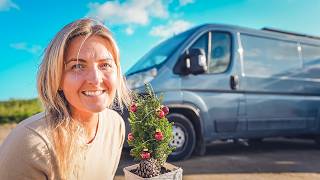 Cozy Christmas Camping, How I Spent Christmas Alone in My Van (Or So I Thought!)