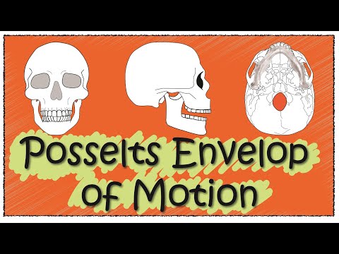Posselts envelope of motion