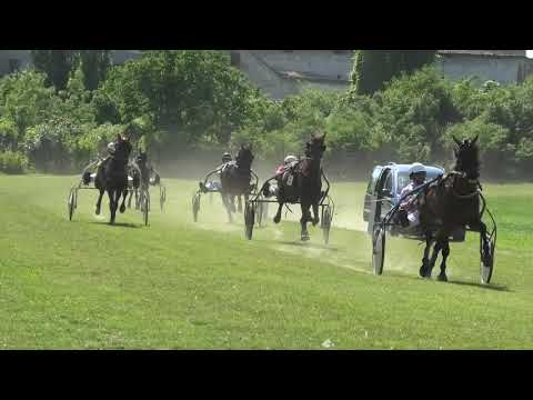 Trka "Levi" 05.06.2021 Express Lady - Boris Nović