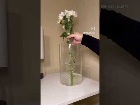 Arranging Flowers in a Glass Vase