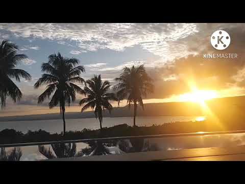 Quick vacation @thevineyardattanauan7453