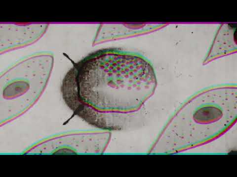 tehnologika podcast vol.68 - Kraken Kronik