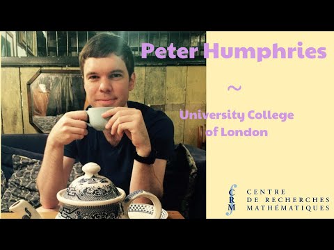 The random wave conjecture and arithmetic quantum chaos (videoconference)