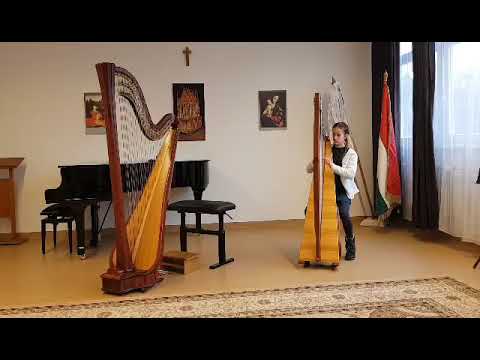 Höltzl Hédi videója