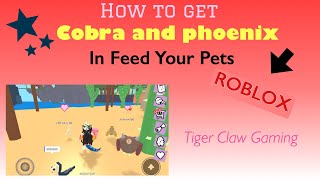 Roblox Feed Your Pets How To Get Yeti Th Clip - 