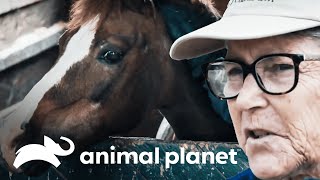 Thumbnail del capítulo