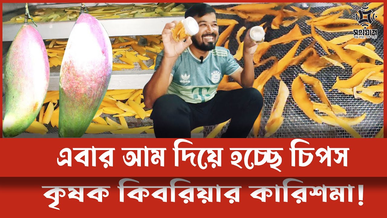 ৩শ’ টাকার আম থেকে ২ হাজার টাকার চিপস তৈরি