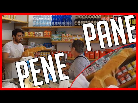 Situazioni Imbarazzanti dal Panettiere 2 - [Esperimento Sociale] - theShow