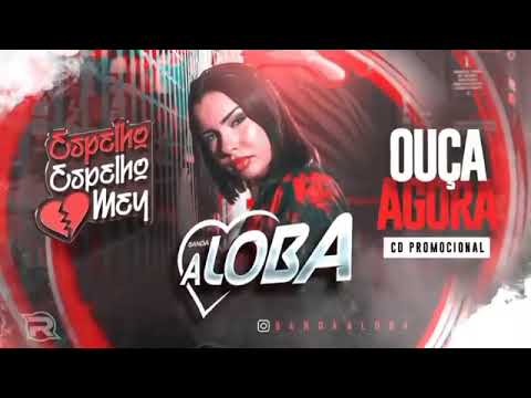 BANDA A LOBA - CD ESPELHO ESPELHO MEU - REPERTÓRIO ATUALIZADO