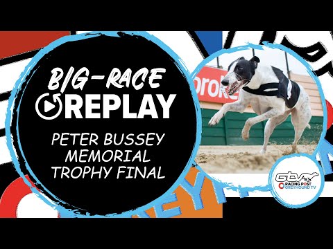 2023 Peter Bussey Memorial - Antigua Sugar | Greyhound Race Previews Reviews Tips | 2023 Big Finals