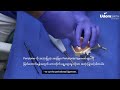 Directa- How to use  Luxator Extraction Workflow with Dr. Manouchehr Kiaei (Burmese Subtitle)