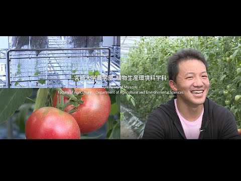 「最先端の農学を学ぼう」　宮崎大学農学部・植物生産環境科学科