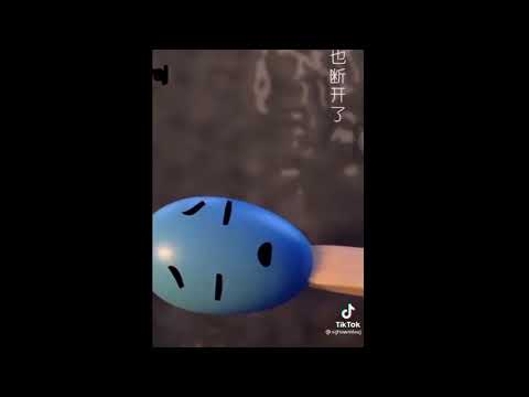 Chu Vaj & yeeb yaj  Paj Huam haig lug sib hlub