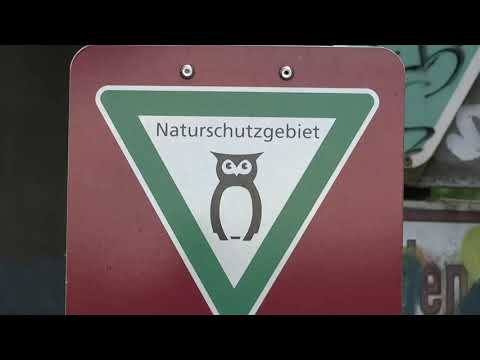 Die Seeve mit der Musik der Moldau