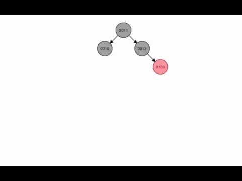 Properties of Red Black Trees