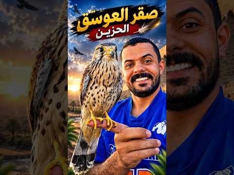 العوسق الحزين ، اكدر اخلي يرجع للسماء من جديد ؟؟