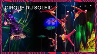 Cirque du Soleil Gravity Meets the Pole (2026) – Performance Highlight