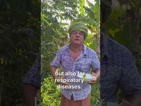 Krishnamckenzie 🌱 Transforming Communities Through Food and Music