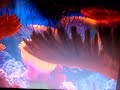 Opening To Finding Nemo 2003 Original Theatrical Version DVD Disc 1 Widescreen
