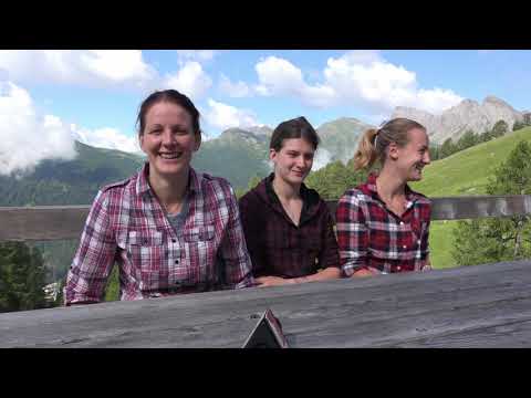 Malga Pala e il segreto della famiglia di Giorgio Turra