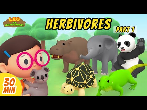 Herbivores Minisode Compilation (Part 1/2) - Leo the Wildlife Ranger | Animation | For Kids