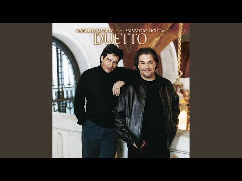 Solo Amore (Orchestra Suite No. 3 in D Major, BWV 1068: II. Air)