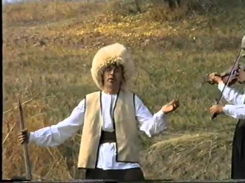 Vlaska pesma - Paun Ilic - Tanda 2000.