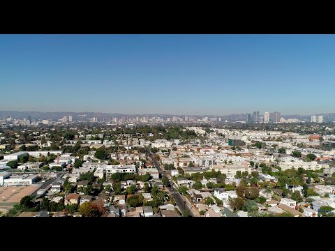 JYS Palms - Video 2 of 2