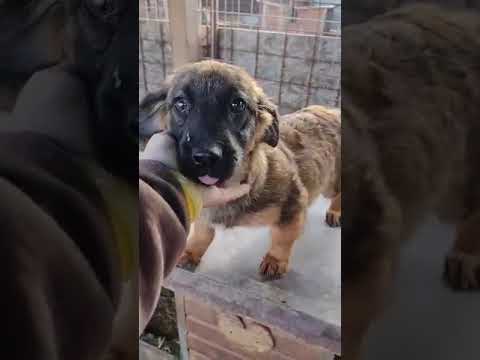 MUNIRA - Ausgereist 28.12.2021