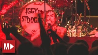 Iggy and the Stooges | I Wanna Be Your Dog | Live in Sydney