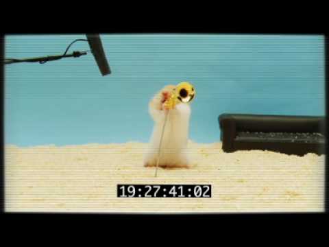 Fats' Clever Hamster Audition