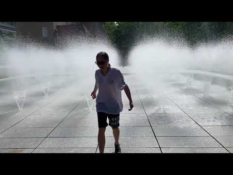 SONG - Maja Kowalczyk / Survival Strategies