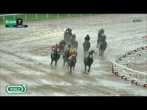 (Busan) 2023.07.16 R7 Class 1 (1400M) Handicap
