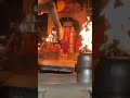 Karni Mata Ringtone Karni Mata Aarti Darshan Video Status Morning Bhaktiringtone Mandir Short