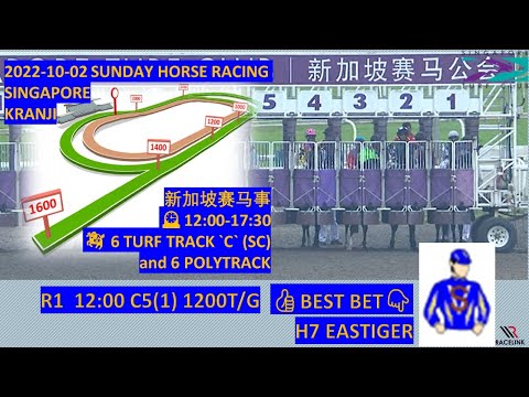 2022-10-02 SUNDAY HORSE RACING|🇸🇬SINGAPORE KRANJI 新加坡赛马事🇸🇬|TIPS|WINNERS|PICK